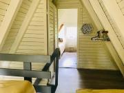 Top Kurzętnik Top Kurzętnik