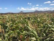 Eslanzarote Eco Dome Experience