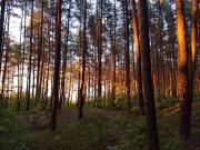 Top Jūrmala