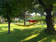 Galeria In The Garden