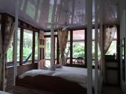 Top Matapalo Top Matapalo