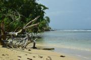 Top Bocas del Toro