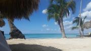 Top Bayahibe