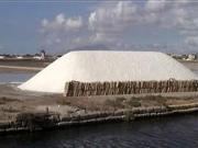 B&B Le Saline Bed & Breakfast