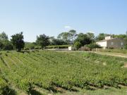 Top Les Arcs sur Argens