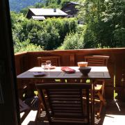 Facing the Chamonix Needles