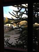 Top San Martín de los Andes