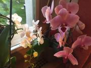 Top San Vigilio Di Marebbe