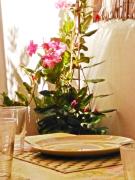 Top Chayofa Top Chayofa