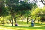 Top Tarija
