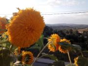 Top Aldeadávila de la Ribera