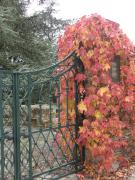 Top Torre de Moncorvo