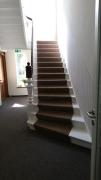 Top Hameln