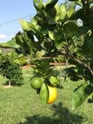 Top Castelo de Paiva