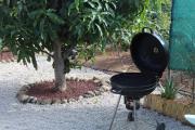 Top Icod de los Vinos