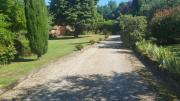 Top Pescia