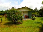 Top Bijagua Top Bijagua