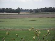 Top Wangerland