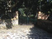 Top Malinalco