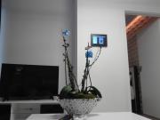 Top Wrocław Top Wrocław