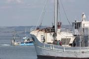 Top Douarnenez