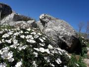 Top Tandil