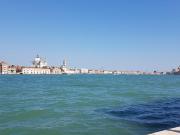 Top Venice Top Venice