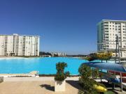 Top Algarrobo
