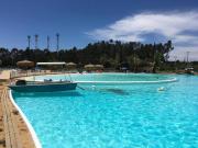 Top Algarrobo