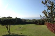 Top Shelly Beach