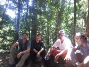 Top Bukit Lawang