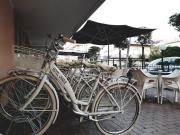 Top Cesenatico Top Cesenatico
