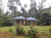 Top Chikmagalūr