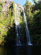 Top Molina Top Molina