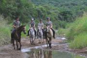 Top Pongola