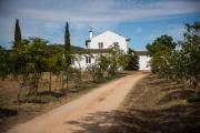 Herdade dos Alfanges "THE BARN" Herdade dos Alfanges "THE BARN"