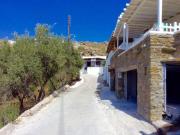 Top Platis Yialos Mykonos