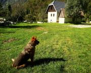 Top Soča