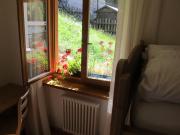 Top Bedollo Top Bedollo