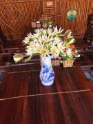 Top Ninh Binh
