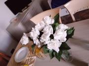 Casa Nives in Villa Emilia