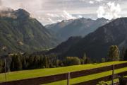 Top Wald im Pinzgau
