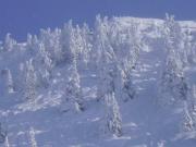 Apartment Landhaus Krall