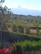 Top Nanyuki