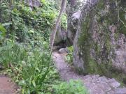 Casa em Ubatuba - Praia Brava da Fortaleza