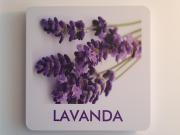 Top Margherita di Savoia