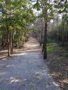 Top Władysławowo Top Władysławowo