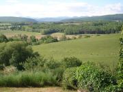 Top Régat Top Régat