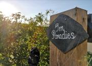 Ferienwohnung Im Paradies