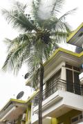 BEAUTIFUL SPACIOUS STUDIO APT IN CANDOLIM with Wifi